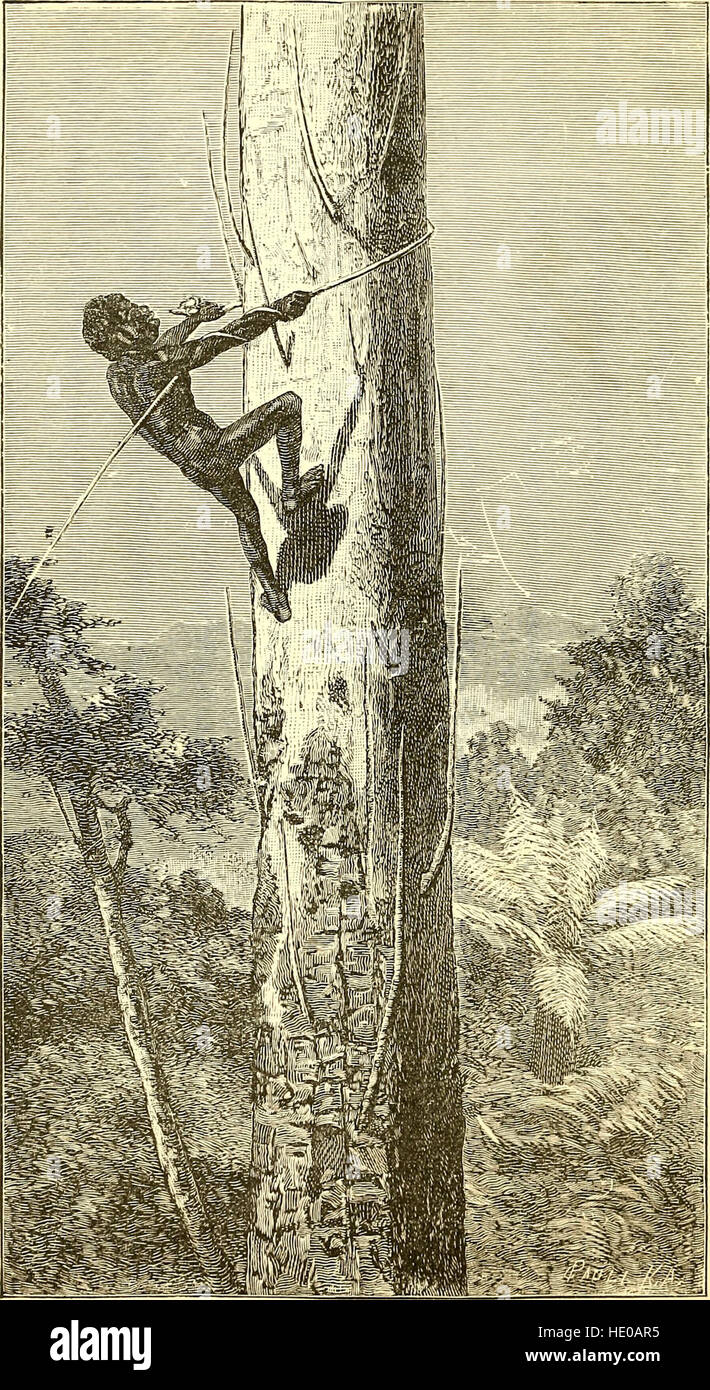 *Among Cannibals* (1889) raconte le voyage de quatre ans d'un voyageur à travers l'Australie, détaillant les expériences avec les peuples aborigènes indigènes du Queensland, y compris la vie dans les camps et les idées culturelles. Banque D'Images