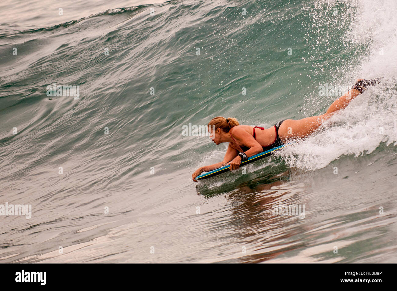 Surf équitation vague à Turtle Bay, North Shore, Oahu, Hawaii. Banque D'Images