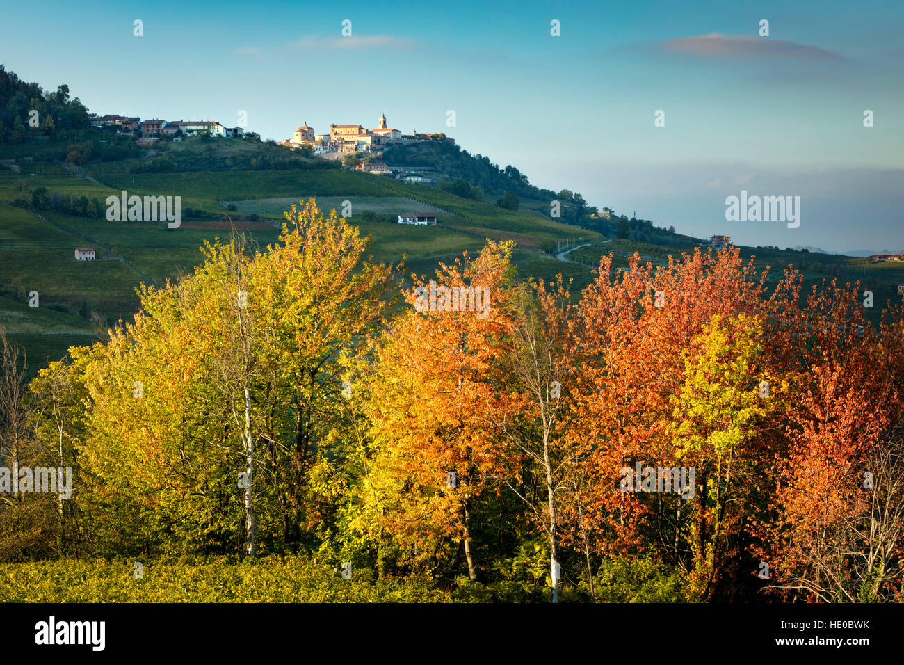 Des arbres présentant automne couleur ci-dessous Ville de La Morra, Piemonte, Italie Banque D'Images