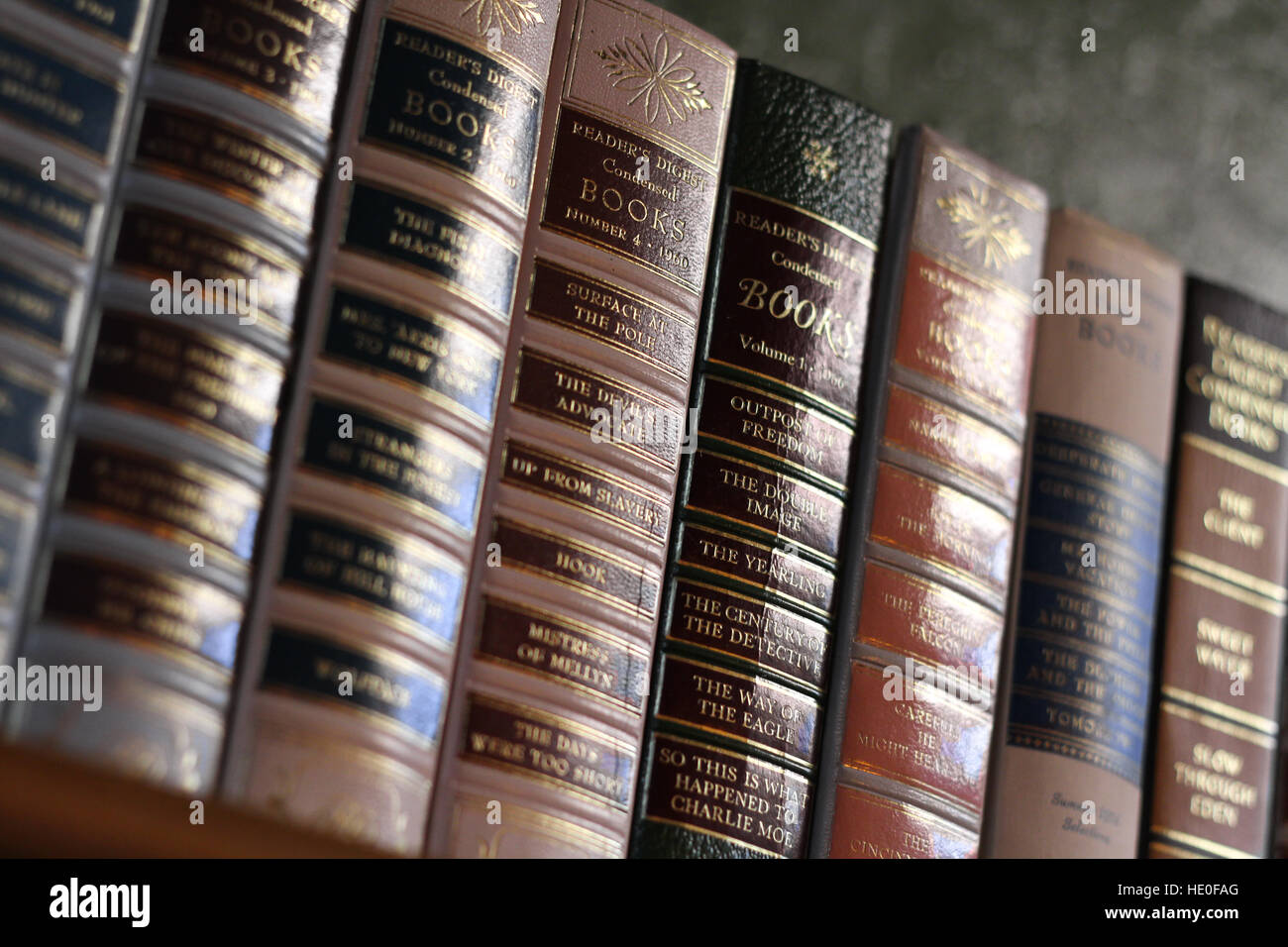 rangée de livres Banque D'Images