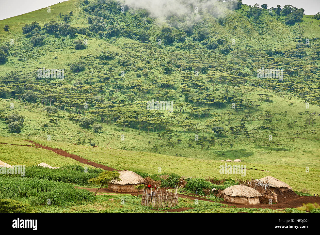 Règlement dans le Masai Ngorongoro Banque D'Images