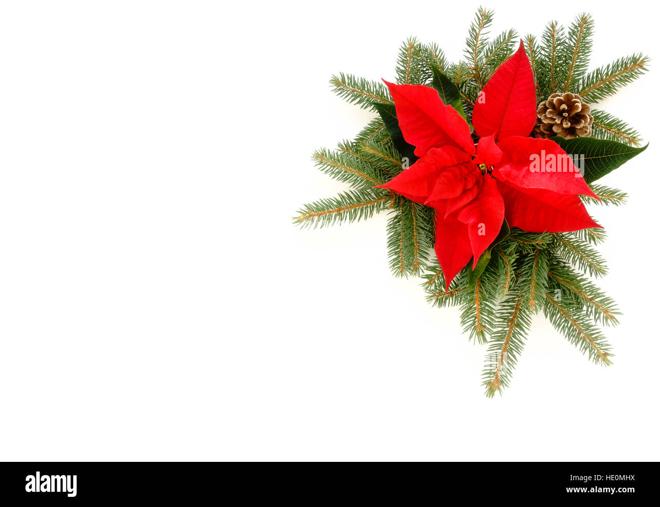 Frontière de Poinsettia Noël, Sapin et branches de pin Banque D'Images Frontière de Poinsettia Noël, Sapin et branches de pin Banque D'Images