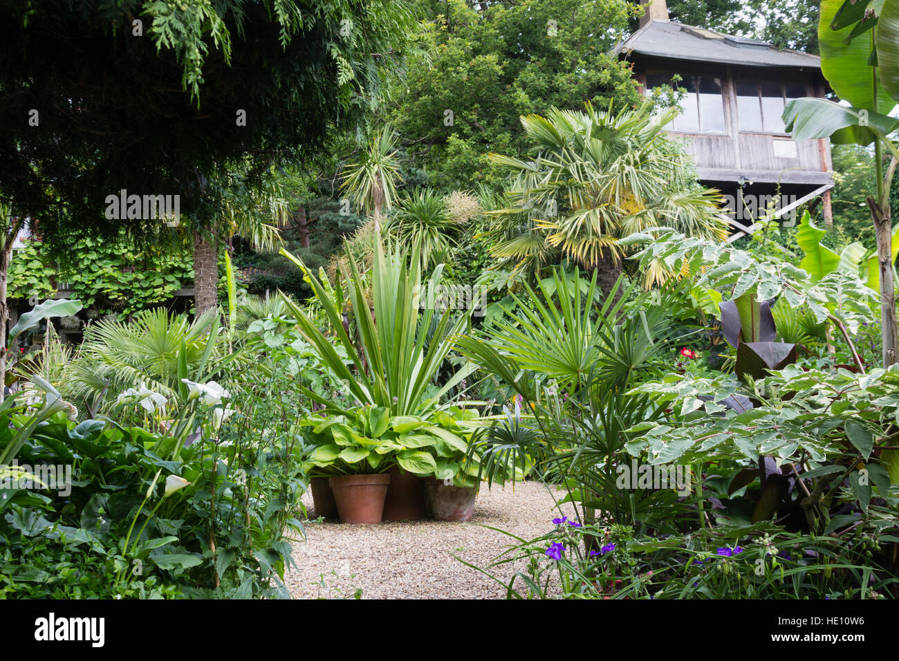 Contrastes de forme et de couleur du feuillage dans une jungle exotique à thème jardin Norwich Banque D'Images