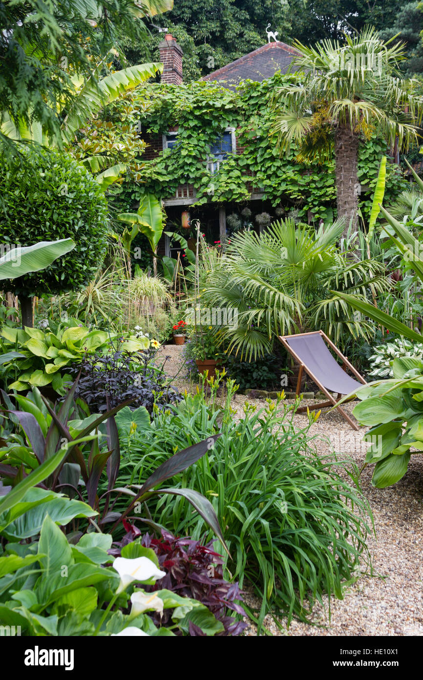 Un sentier de gravier mène à travers le feuillage exotique luxuriante dans un jardin de Norwich à thème jungle Banque D'Images