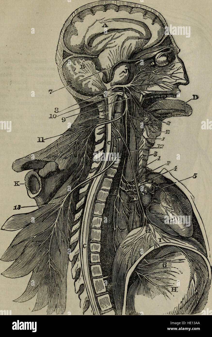 L'hydropathie pratique, y compris les plans des bains et des remarques sur l'alimentation, les vêtements et les habitudes de vie.. (1864) Banque D'Images