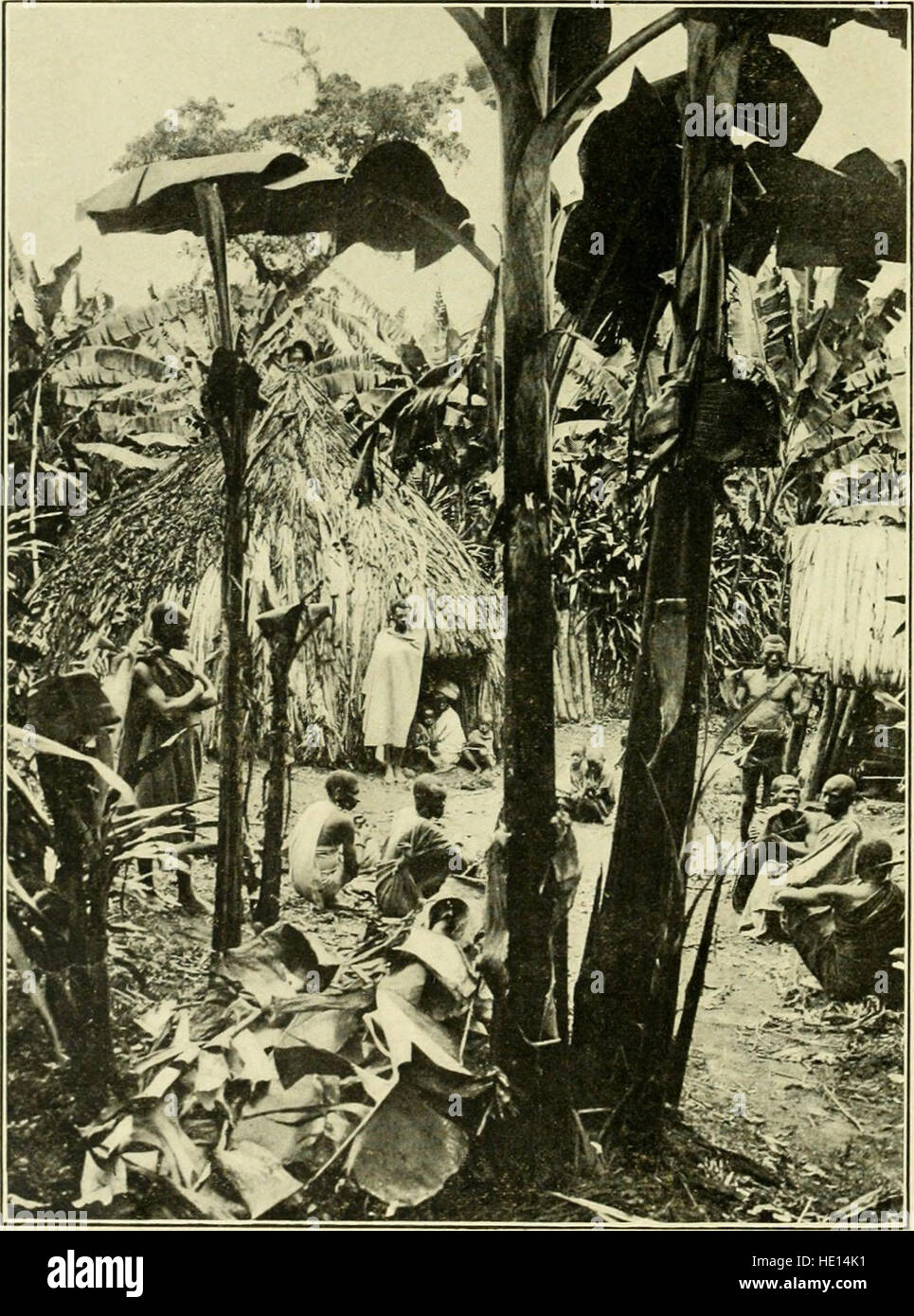*En Afrique la plus sauvage* détaille un voyage d'exploration et de chasse aventureux à travers l'Ouganda, la région de Victoria Nyanza et l'Afrique orientale britannique. Le récit inclut également l'ascension des champs de neige du Kilimandjaro, offrant un aperçu de la diversité des paysages et de la faune de l'Afrique. Banque D'Images