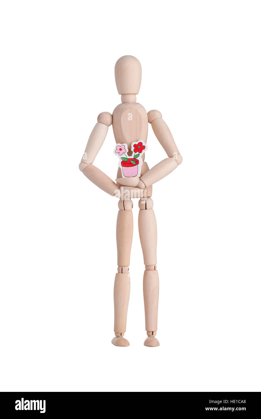 Mannequin en bois avec fleur plante Banque D'Images
