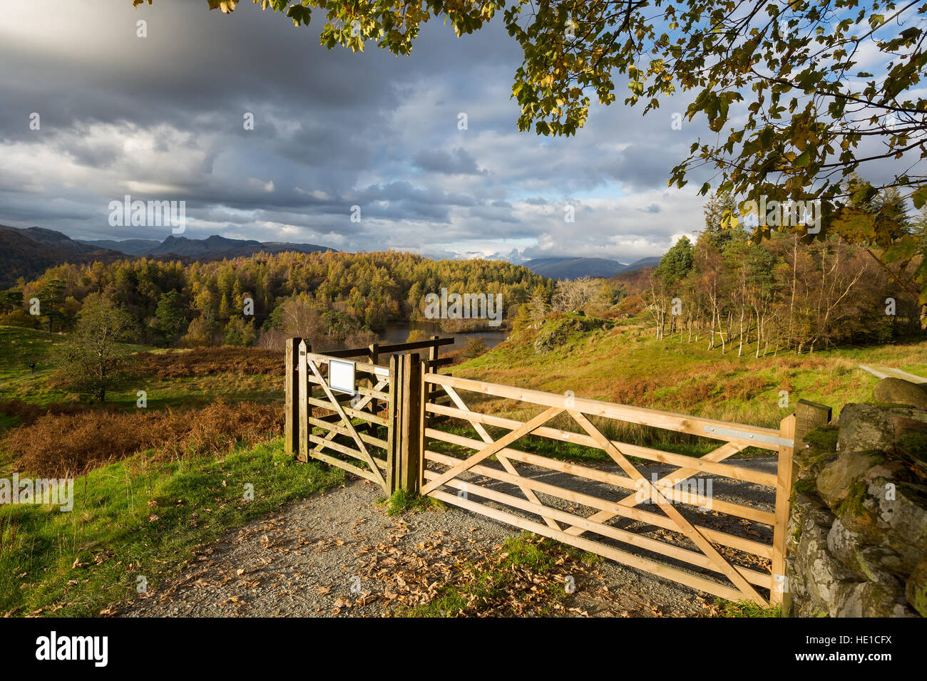 Passerelle en bois dans un magnifique cadre rural, à Tarn Hows, le Lake District, en Angleterre. Banque D'Images