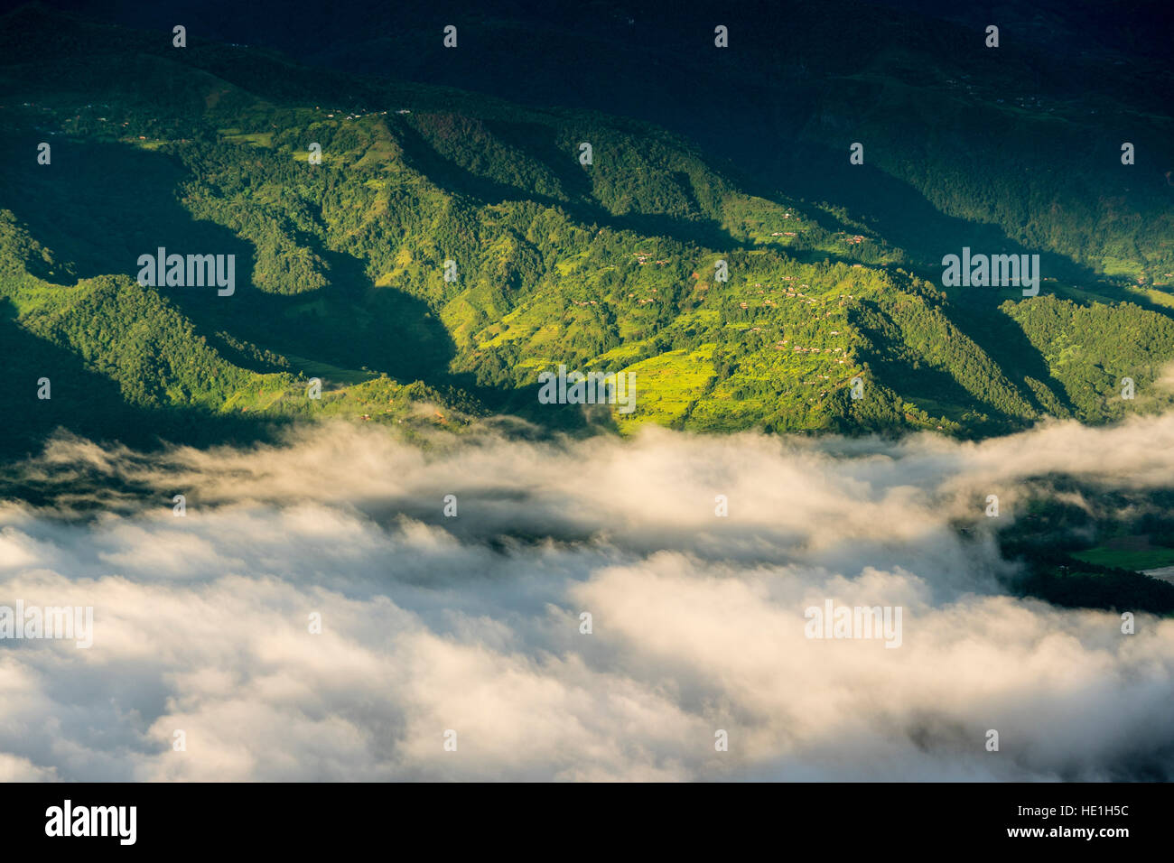 Le brouillard est couvrant lac Phewa dans la matinée, les collines environnantes avec des arbres sont sunlit Banque D'Images