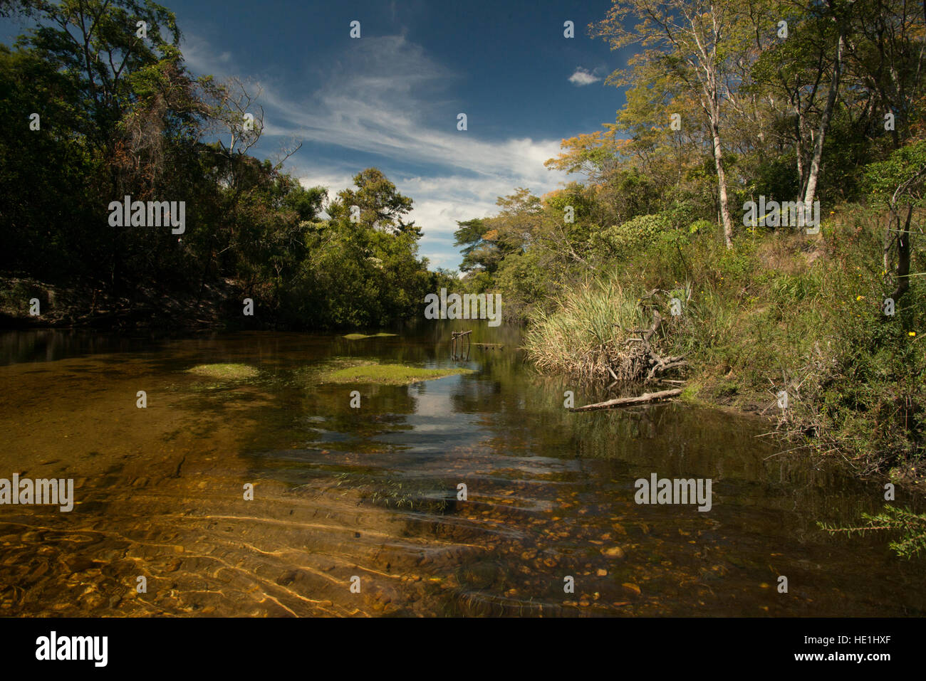 Le parc national de Serra do l'OPIC. C'est la zone de savane plus préservée au Brésil. Banque D'Images