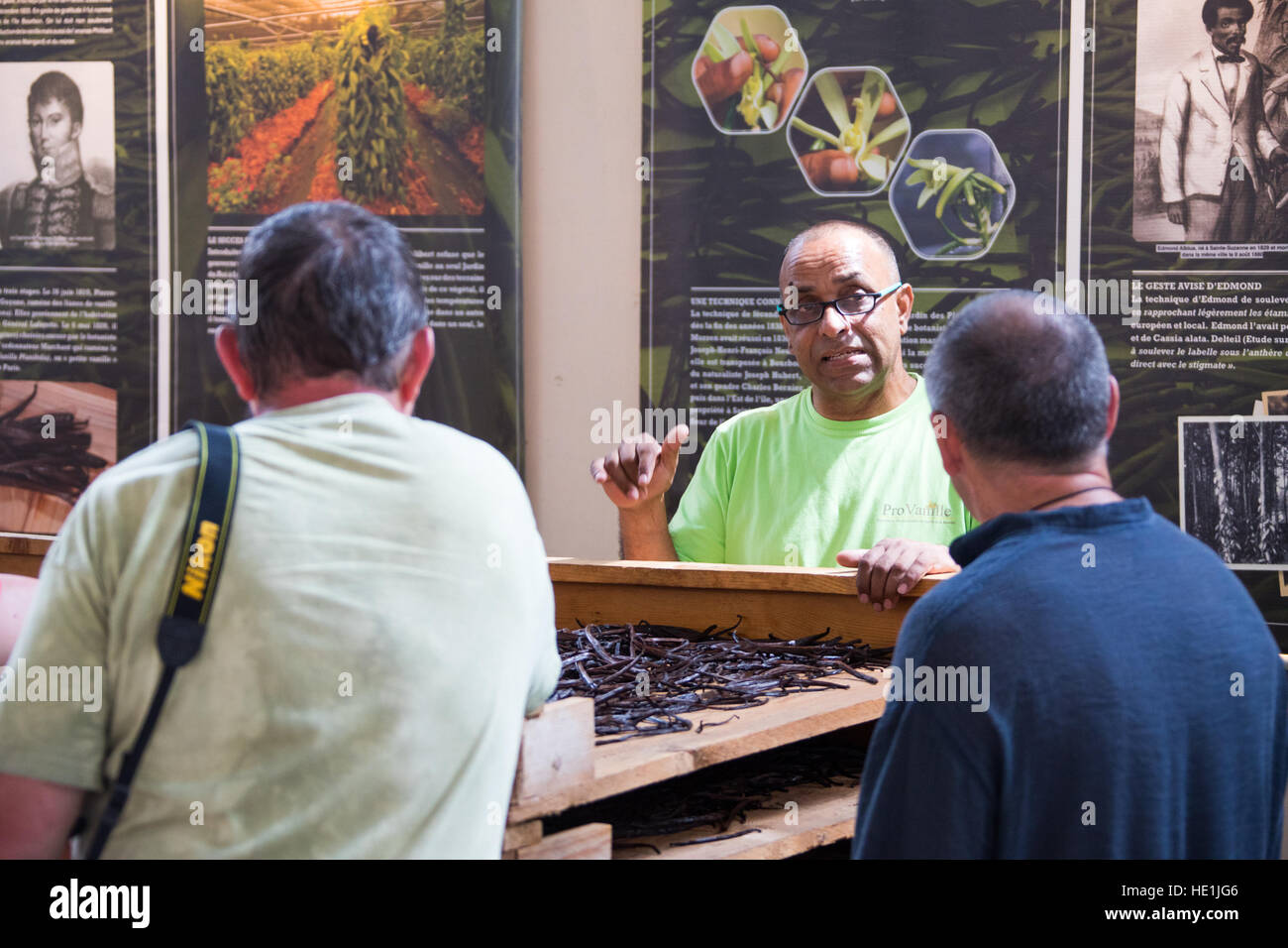 La culture et la transformation de la vanille à tour Pro Vanille, Sainte-Rose, de l'île de la réunion Banque D'Images