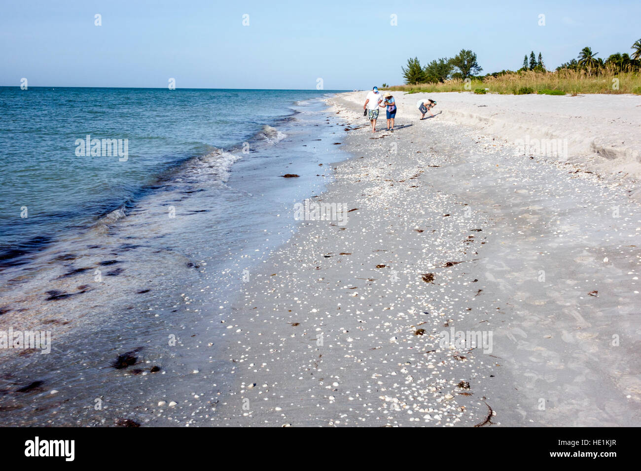 Floride,Sud,Sanibel Barrier Island,plages de plage,Golfe du Mexique,les beachers,les chasseurs de coquillages,les visiteurs Voyage tourisme touristique l Banque D'Images