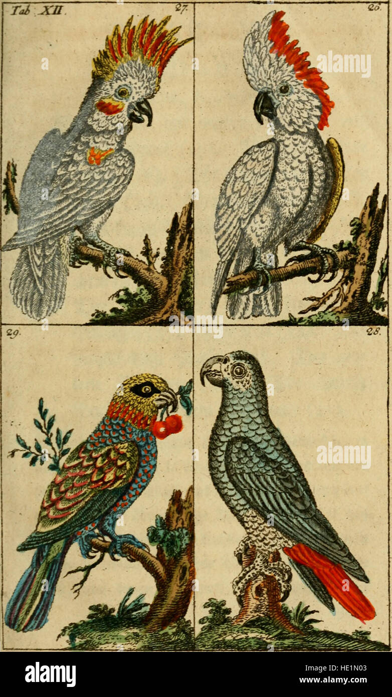 Unterhaltungen aus der Naturgeschichte (1795) Banque D'Images
