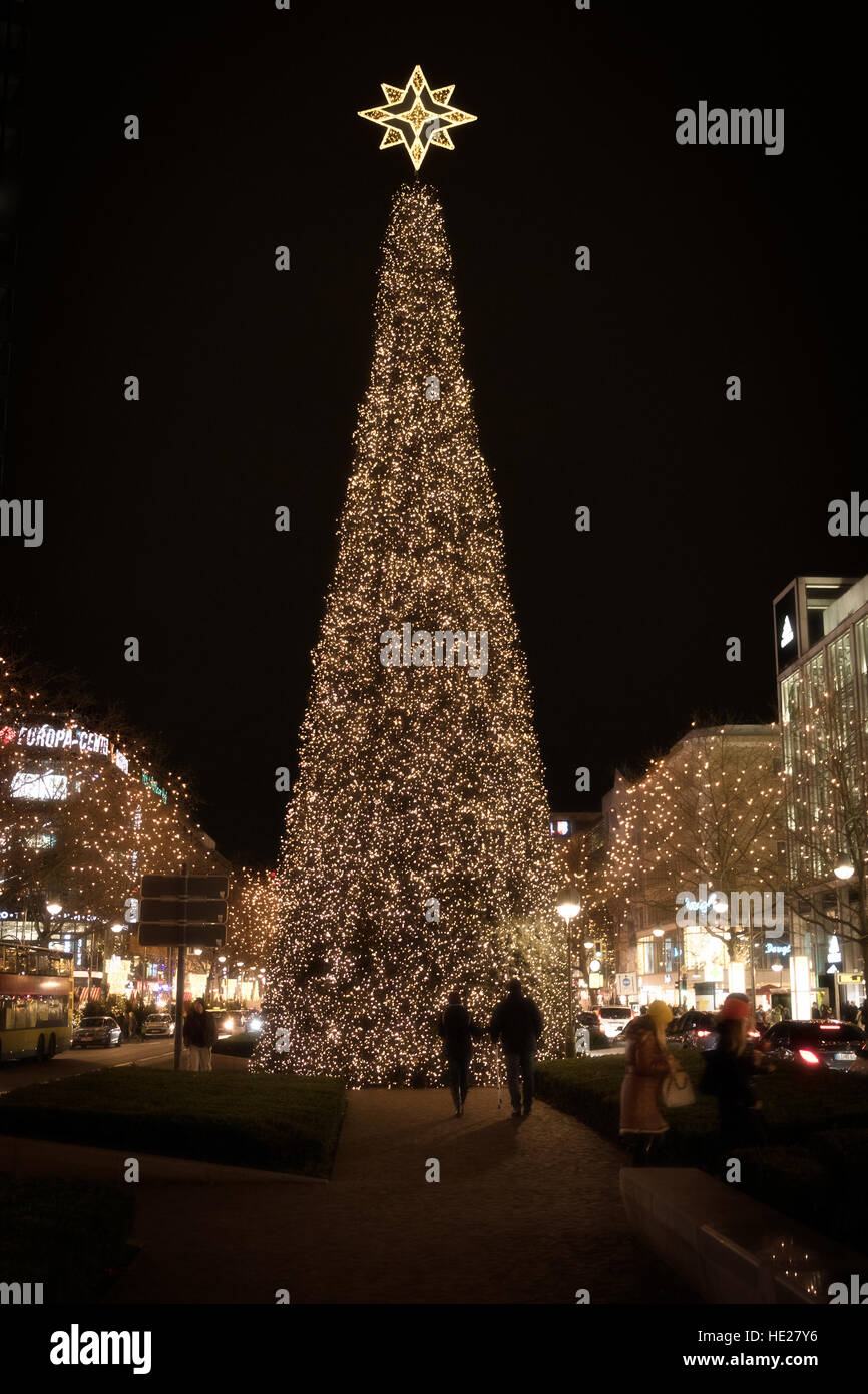 Grand arbre de Noël, illuminé la nuit en plein air Banque D'Images