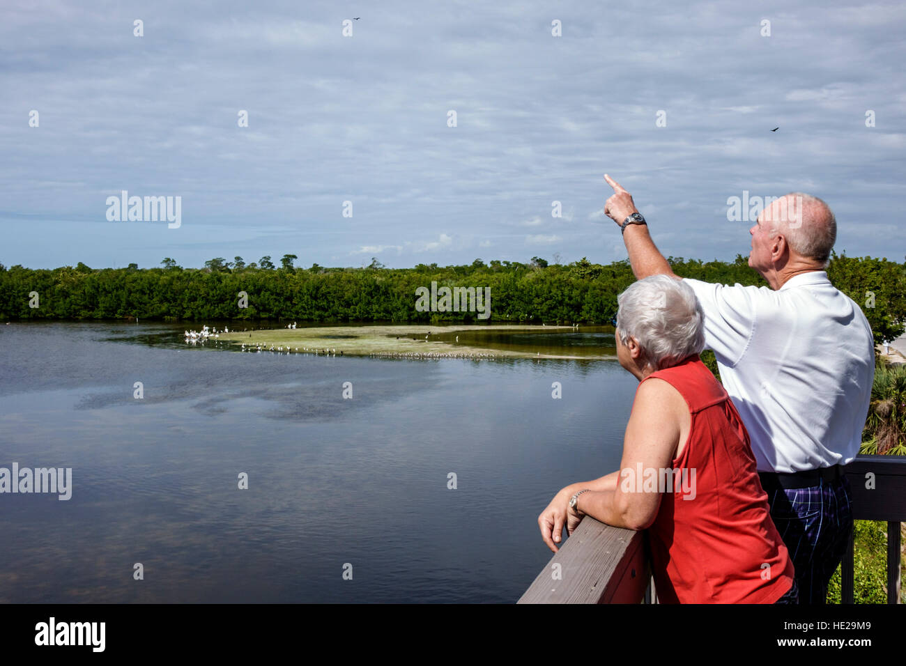 Florida Sanibel Island, J. N. J. N. JN Ding Darling National Wildlife refuge, seniors citoyens citoyens, adulte, adultes, homme hommes, femme femme femme wome Banque D'Images