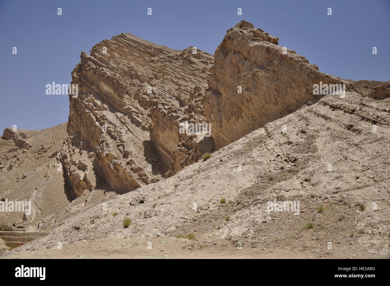Barrage Mubazzarah Park et Al Ain Émirats Arabes Unis Abri Roofdeck roches calcaire arbres Automne Printemps Arbre Tunnel Banque D'Images