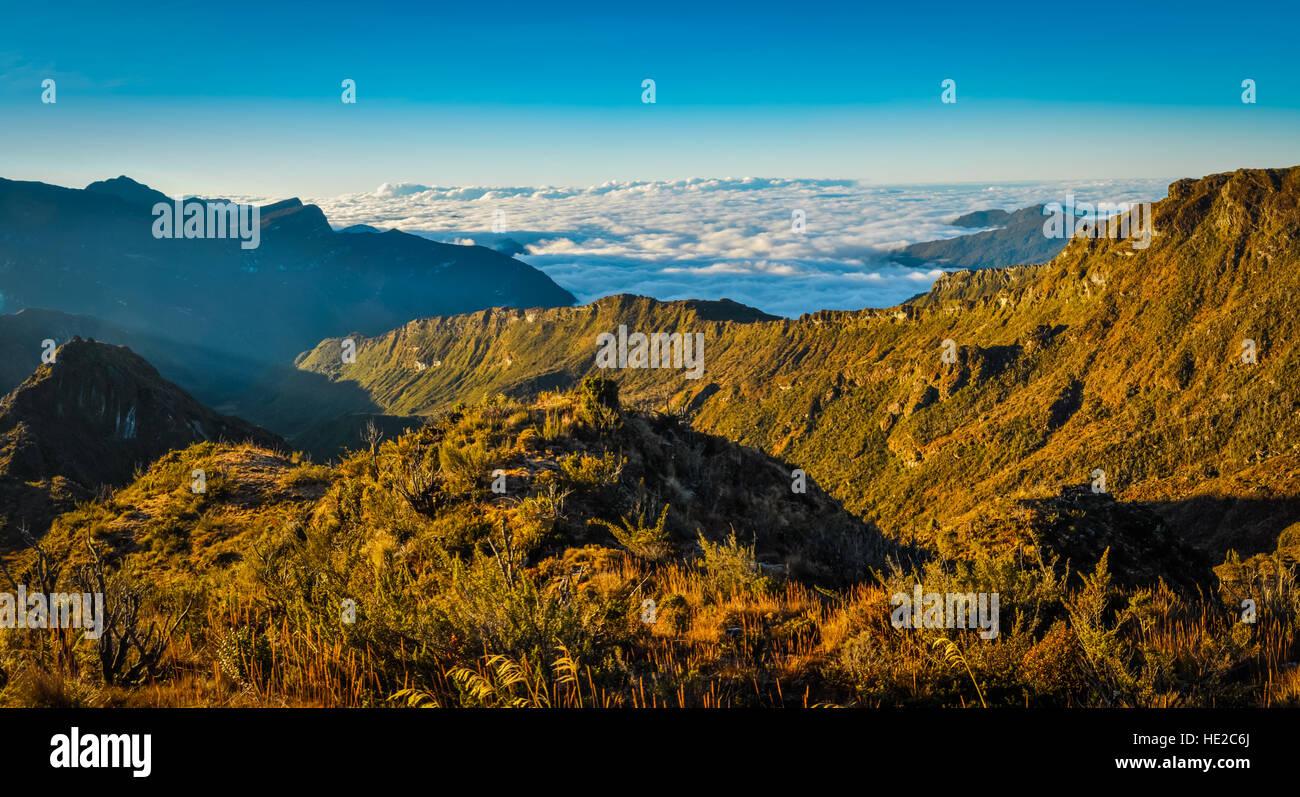 Photo de montagne et nature avec brouillard matinal à distance en Trikora, Papouasie, Indonésie. C'est zone, rarement visités par les gens. Banque D'Images