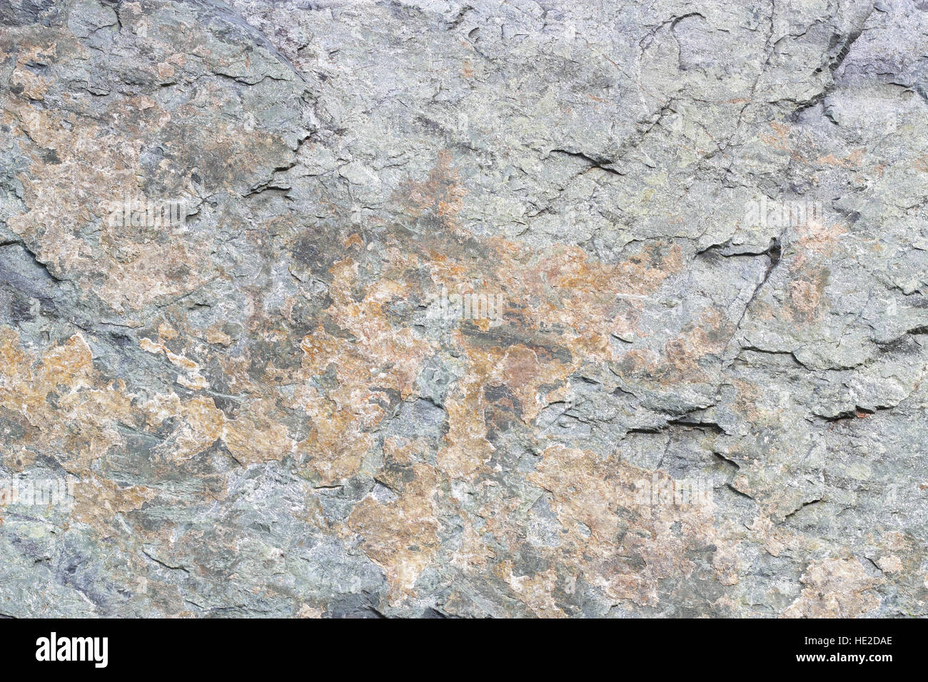 Roche métamorphique amphibolite texture background Banque D'Images