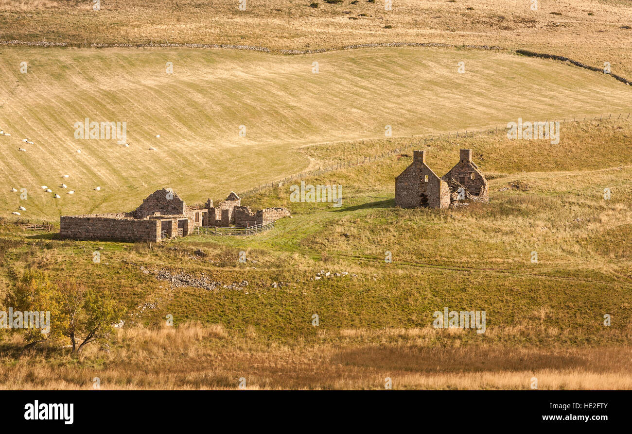 Ruines de la ferme de Glen Deskry en Ecosse. Banque D'Images