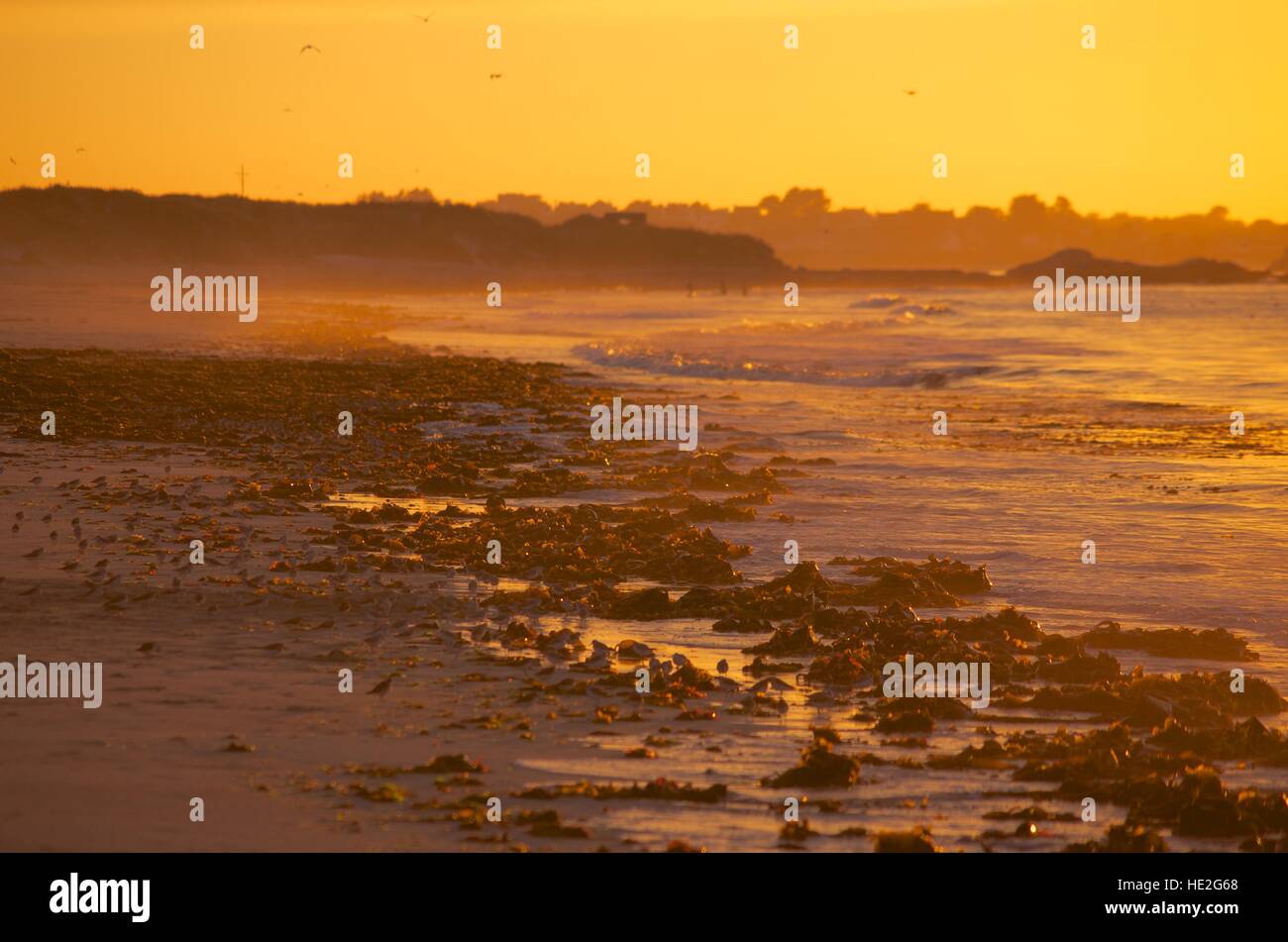 Plage Keremma ligne de marée au coucher du soleil, Finistère, France ...