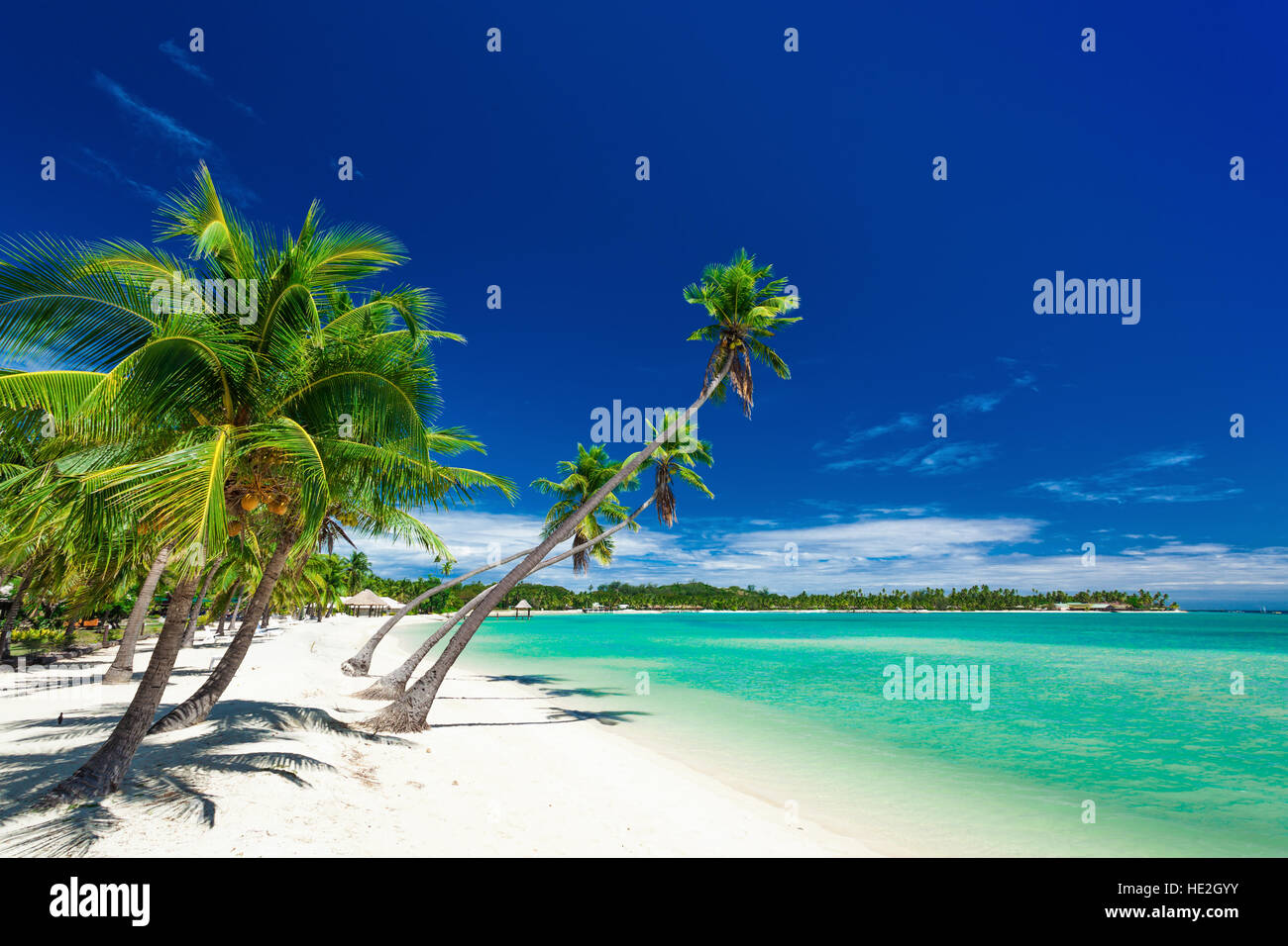 Palmiers sur une plage blanche sur une Plantation Island, Fidji, Pacifique Sud Banque D'Images