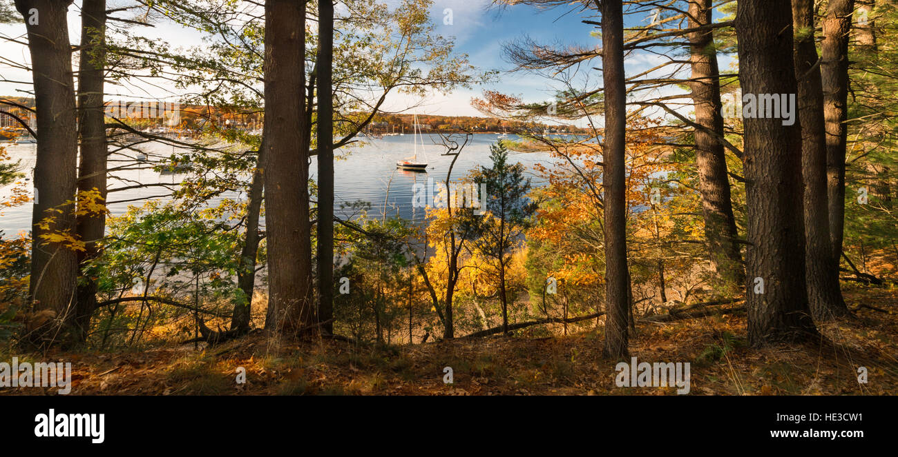 Un voilier à l'ancre vu à travers la fin de l'après-midi la lumière à travers les feuilles d'automne. Banque D'Images