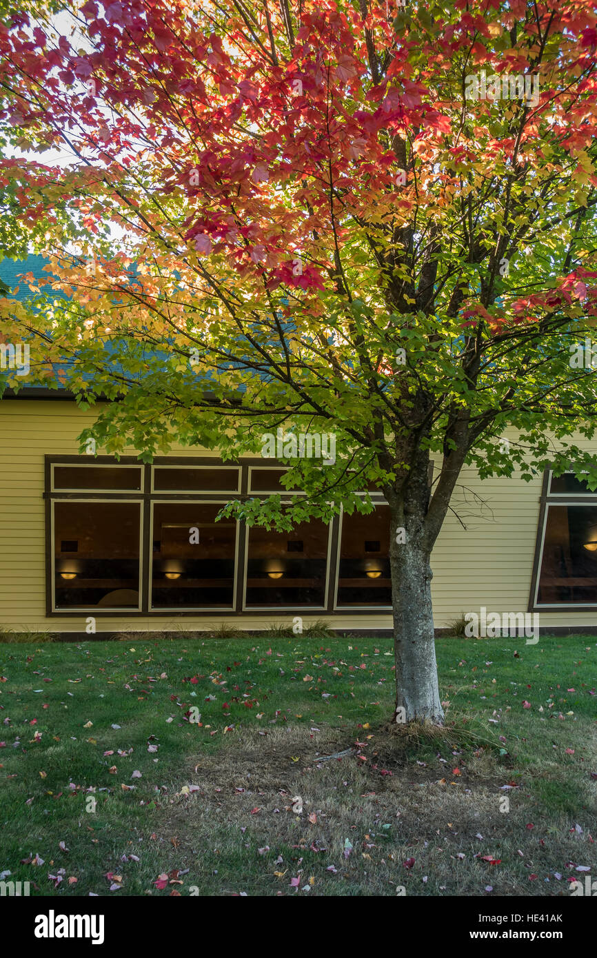 Vitres teintées foncé créer une scène étrange et lumières intérieures semblent flotter. Banque D'Images