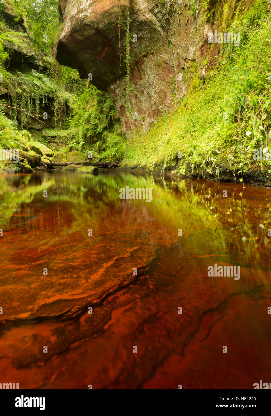 Finnich Glen et la chaire du diable près de Kilearn, Glasgow, Écosse, Royaume-Uni Banque D'Images