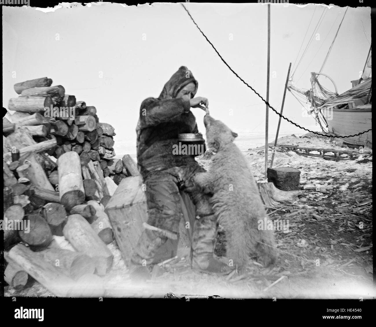 Cette photographie historique capture Roald Amundsen nourrissant des ours polaires au cours de son expédition dans l'Arctique, dans le cadre de l'expédition Maud. L'image reflète l'esprit pionnier de l'exploration polaire du début du XXe siècle. Banque D'Images