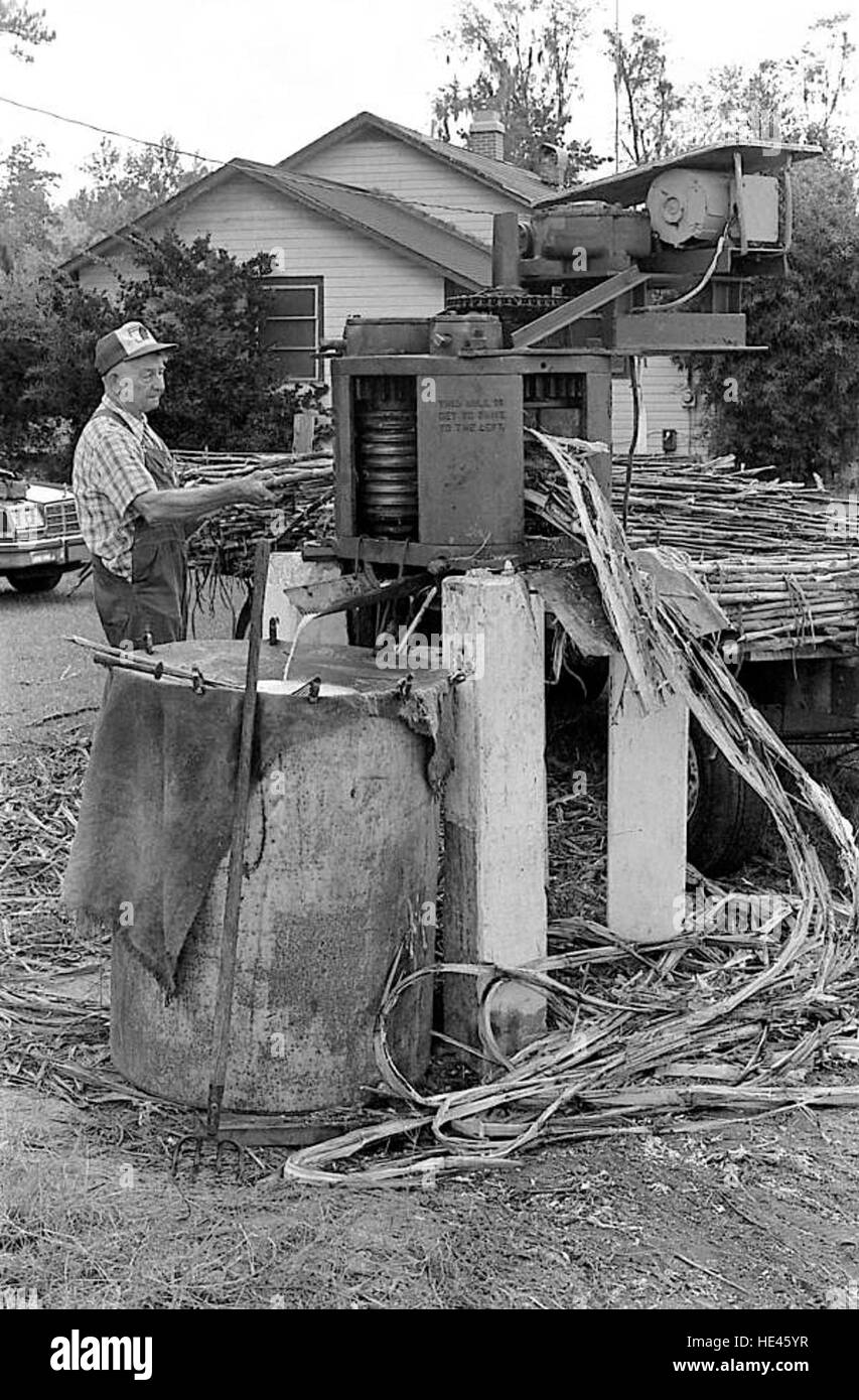 T G alimentation Mayo dans le moulin de la canne à sucre - Lac Banque D'Images