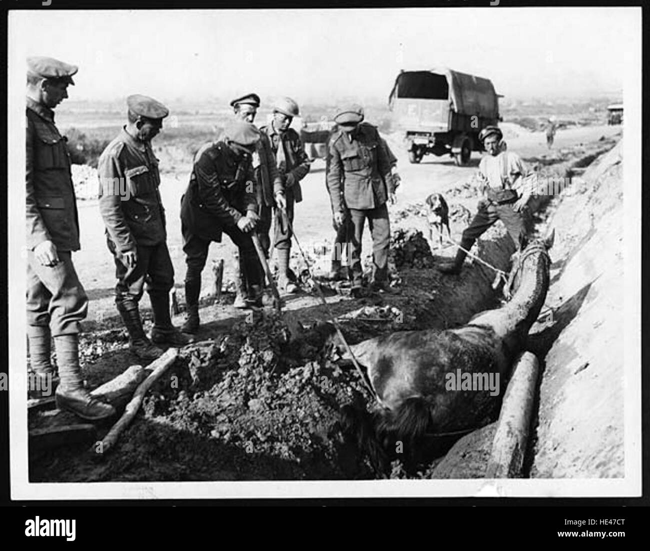 Cette image vintage représente un moment de travail agricole, montrant un cheval sorti d'un fossé. Il reflète le travail acharné et les tâches quotidiennes liées à la vie rurale au XIXe siècle. Banque D'Images