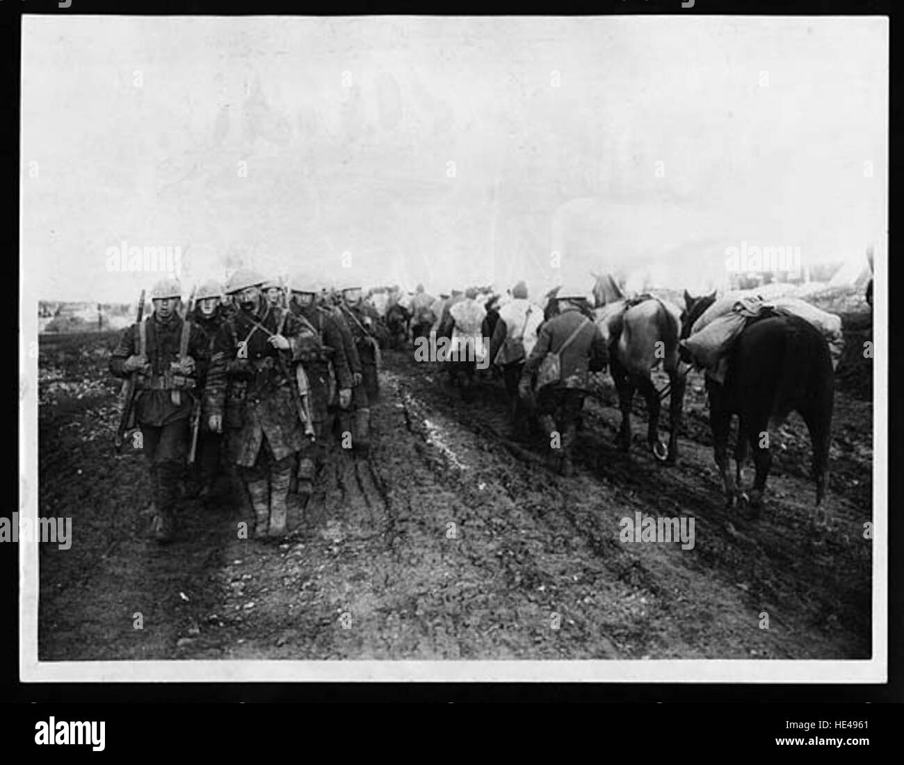 Cette image historique montre des troupes canadiennes revenant des tranchées pendant la première Guerre mondiale, passant devant des mules de meute chargées de ravitaillement. Il met en lumière les défis physiques et logistiques de la guerre. Banque D'Images Cette image historique montre des troupes canadiennes revenant des tranchées pendant la première Guerre mondiale, passant devant des mules de meute chargées de ravitaillement. Il met en lumière les défis physiques et logistiques de la guerre. Banque D'Images
