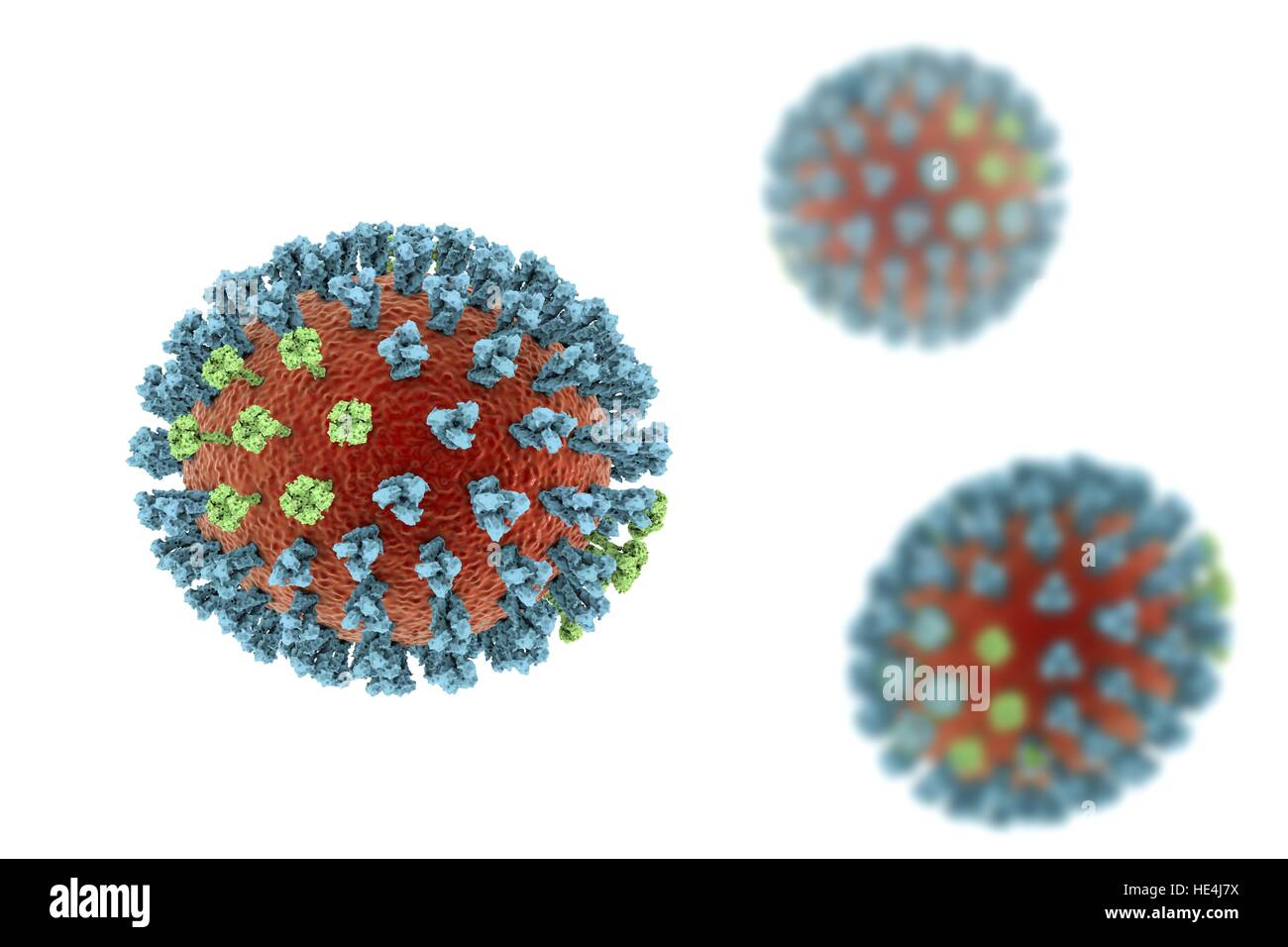 Virus de la grippe aviaire. 3D illustration de la grippe aviaire H5N8 Particules de virus. Au sein de l'enveloppe lipidique virale (orange) sont deux types de protéines spike, l'hémagglutinine (H, bleu) et la neuraminidase (N, vert), qui déterminent la souche du virus. Cette souche du virus a causé la maladie chez les oiseaux sauvages et la volaille en Europe et en Asie depuis juin 2016. Exceptionnellement, le virus provoque la mortalité chez les oiseaux sauvages, qui sont plus souvent silencieux transporteurs. En décembre 2016, aucun cas de la maladie ont été signalés, et le risque de transmission à l'homme devrait être faible. Banque D'Images