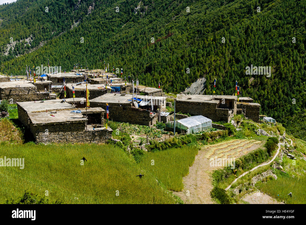 Les maisons du village khangsar sont situés sur la route de trekking dans le lac Tilicho à upper marsyangdi valley Banque D'Images