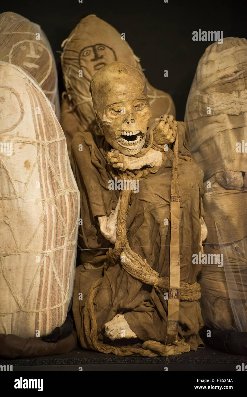 Les momies, Musée de Leymebamba Chachapoyas, Province, Région de l'Amazonas, Pérou Banque D'Images