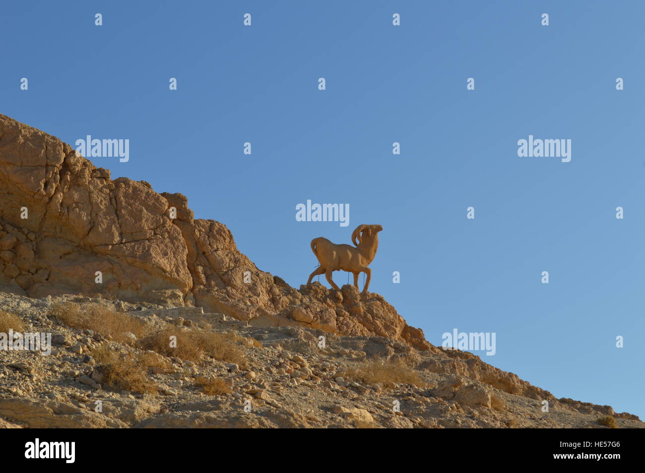 Un sable fait main Capricorne Banque D'Images
