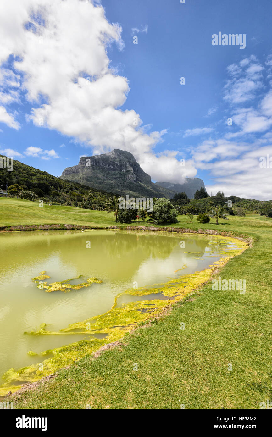 Golf Course, Lord Howe Island, New South Wales, NSW, Australie Banque D'Images