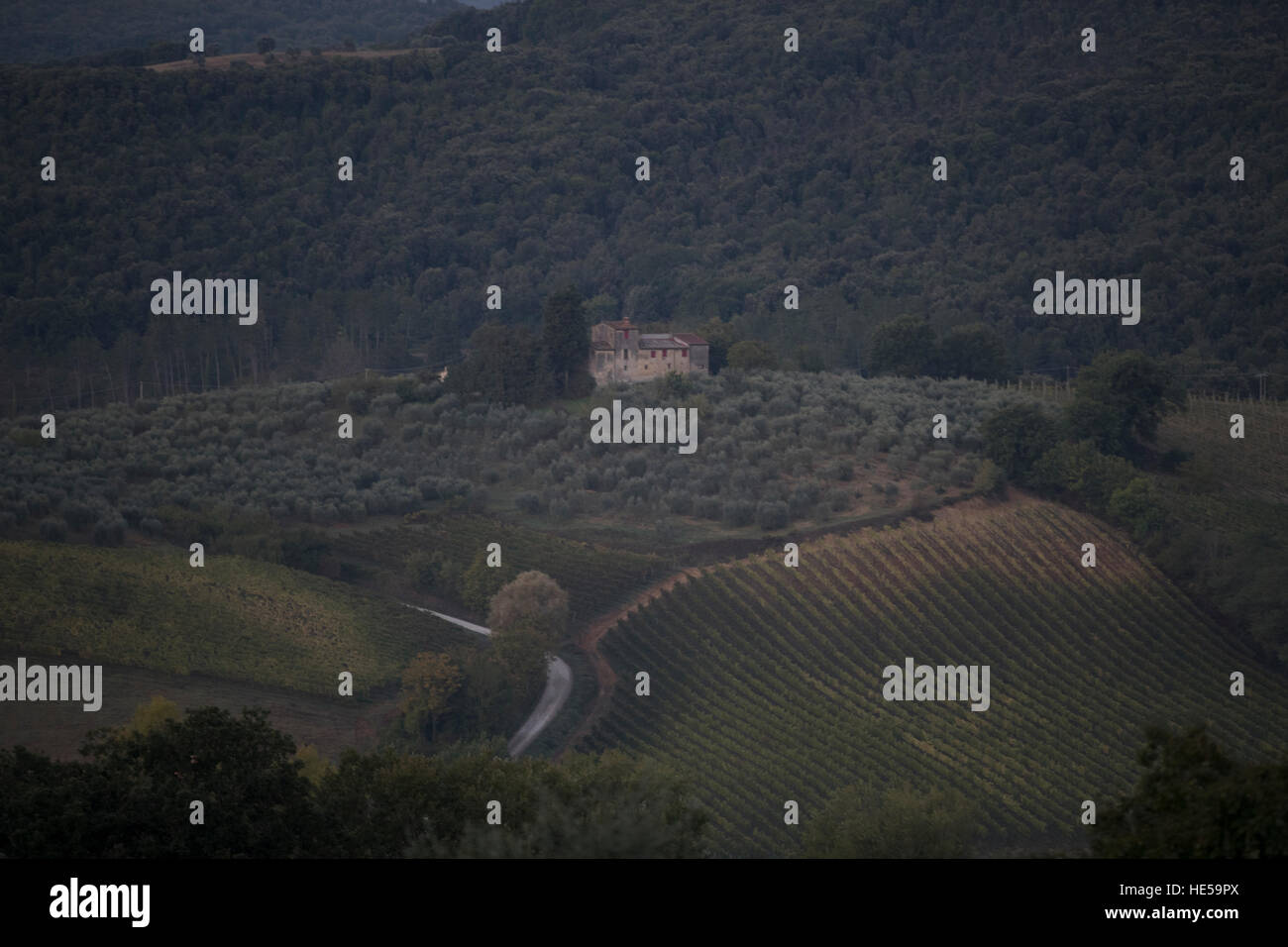 Collines toscanes et de la campagne de la gare Santa Lucia road, San Gimignano, Toscane, Italie. Banque D'Images