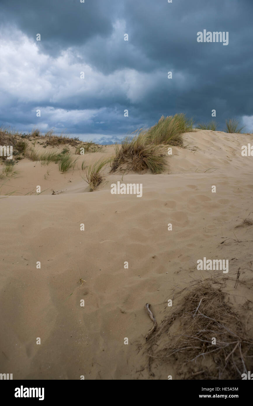 Système de dunes de Bray Dunes, Dunkerque, France. Banque D'Images