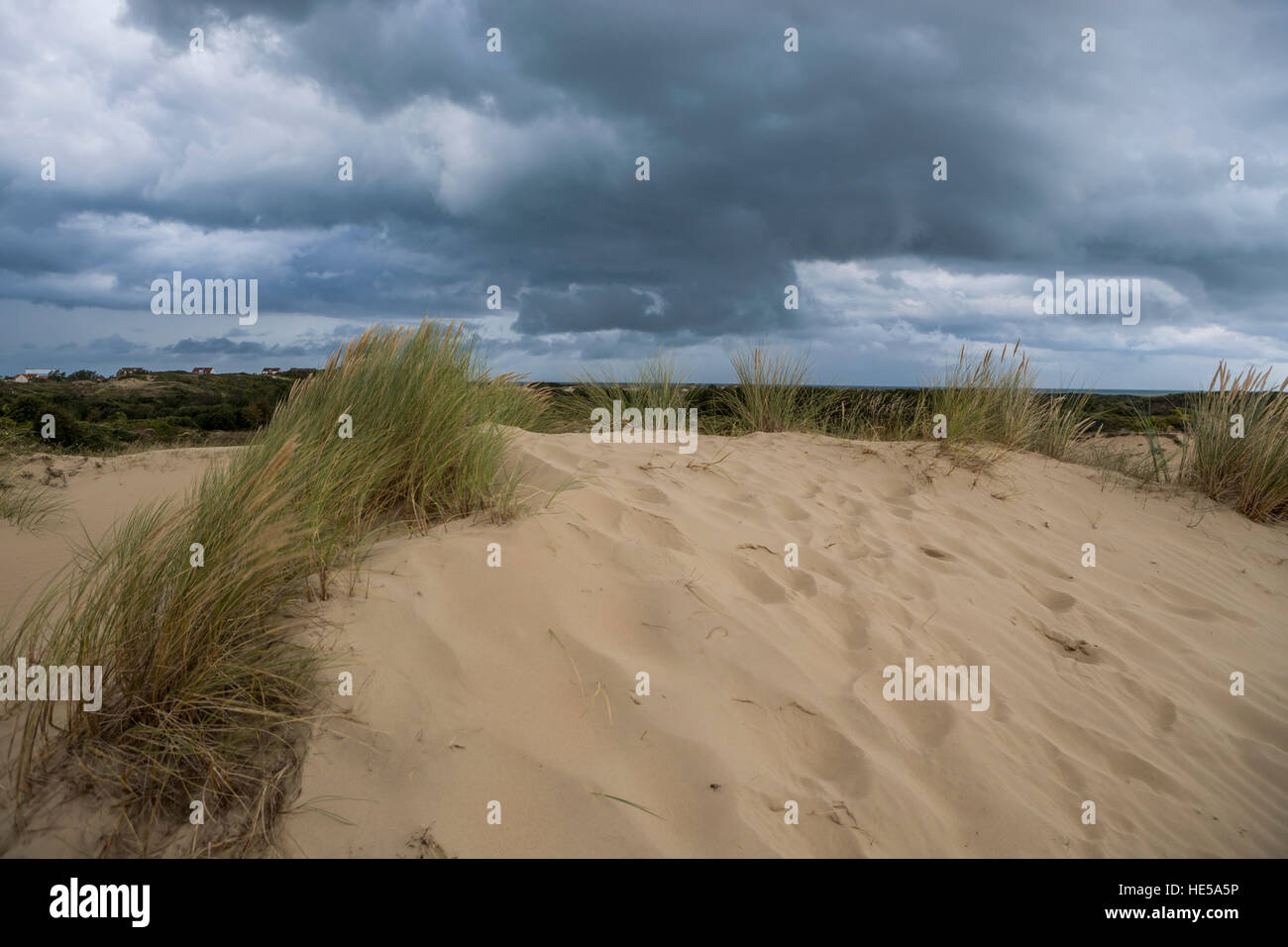 Système de dunes de Bray Dunes, Dunkerque, France. Banque D'Images