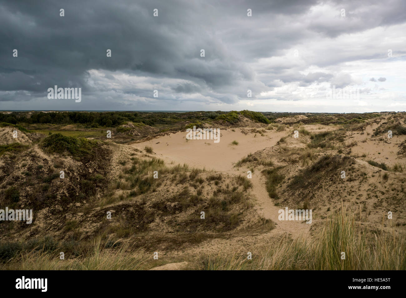 Système de dunes de Bray Dunes, Dunkerque, France. Banque D'Images