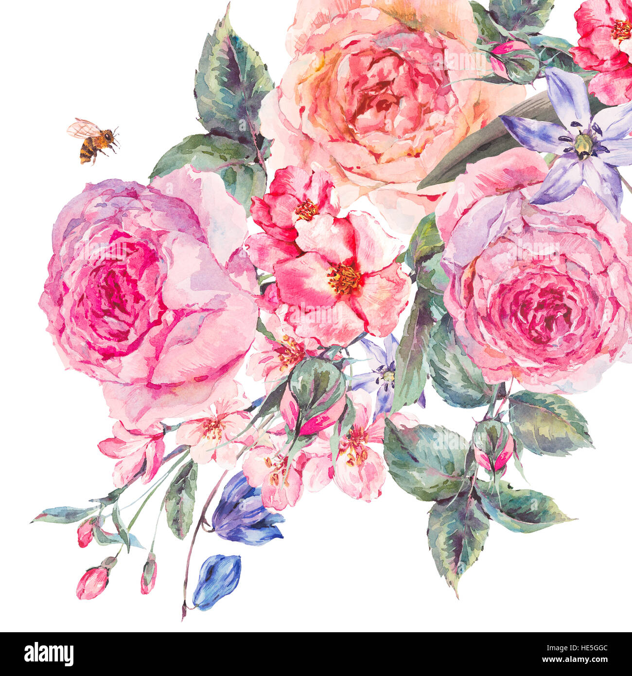 Printemps aquarelle bouquet de fleurs de cerisier et roses anglaises Banque D'Images