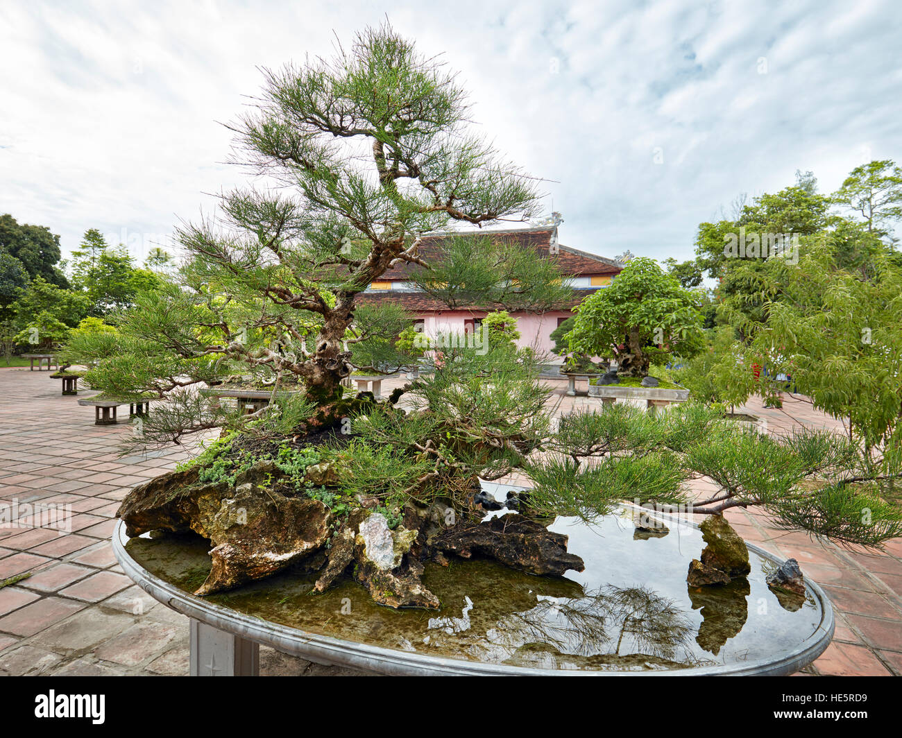 Jardin Bonsai à la Pagode Thien Mu. Hue, Vietnam. Banque D'Images