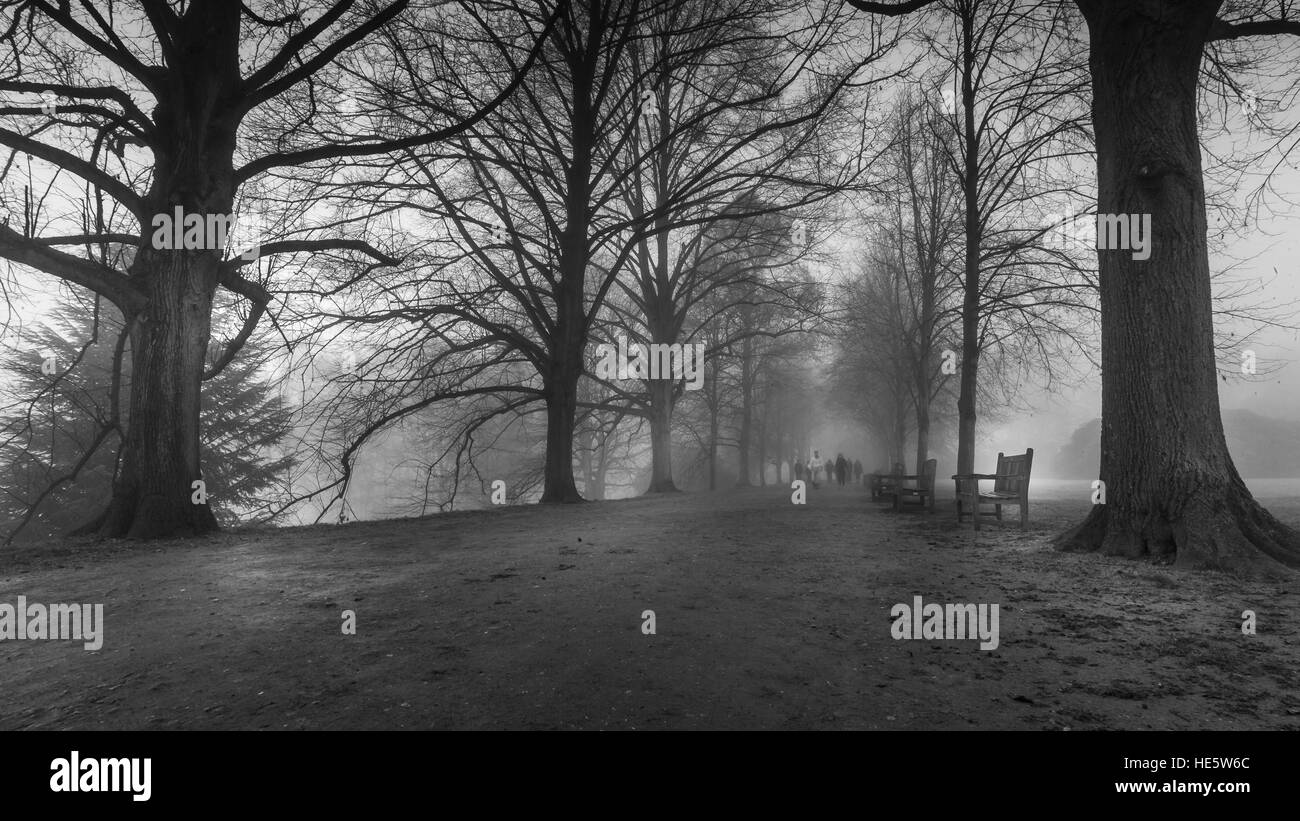 Un épais brouillard à Kenwood House à Hampstead Londres Banque D'Images