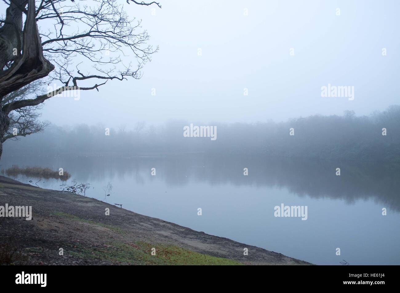 Virginia Water, UK. Dec 18, 2016. Un matin brumeux à Virginia Waters lake © Andrew Spiers/Alamy Live News Banque D'Images