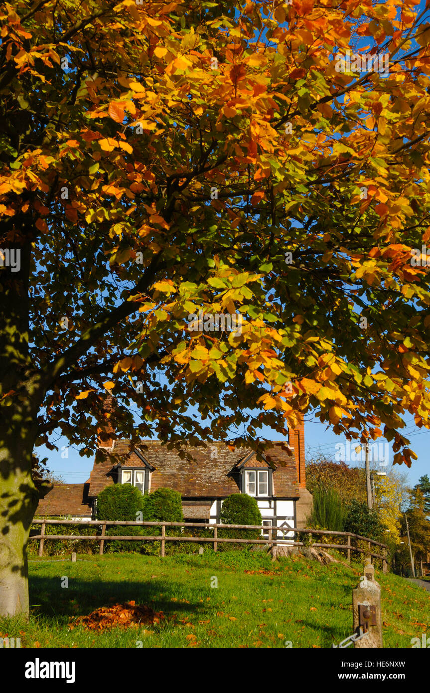 Cottage en noir et blanc en automne à Bridgnorth, Shropshire, Angleterre, Royaume-Uni Banque D'Images