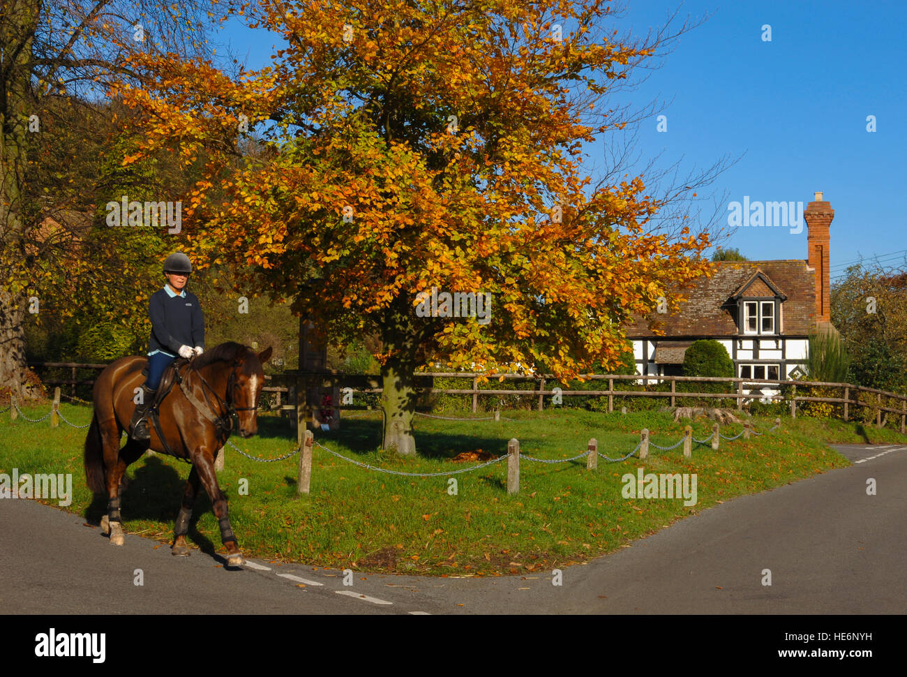 Un cheval-cavalier passant un chalet noir et blanc en automne à Bridgnorth, Shropshire, England, UK Banque D'Images