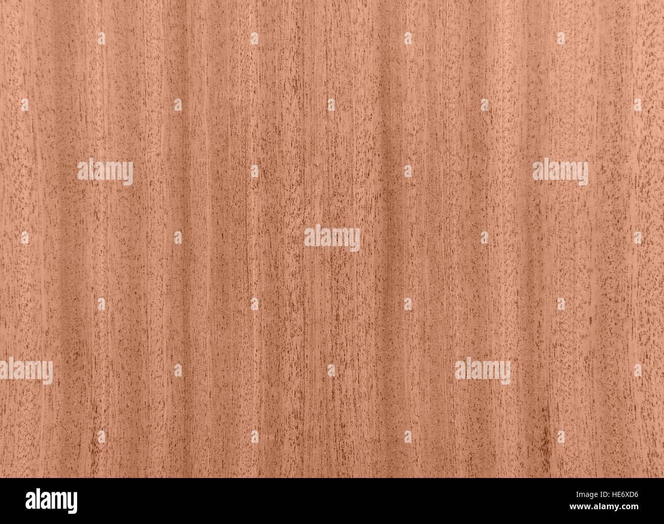 Bois naturel texture background Banque D'Images