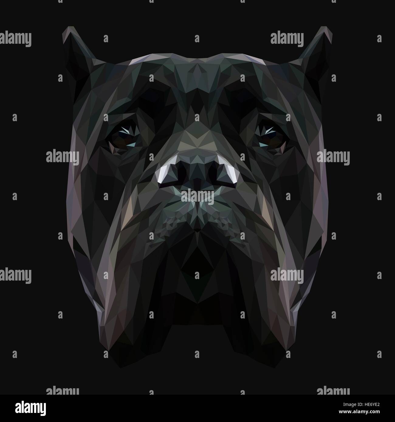 Cane Corso chien animal low poly design. Illustration vecteur de triangle. Illustration de Vecteur