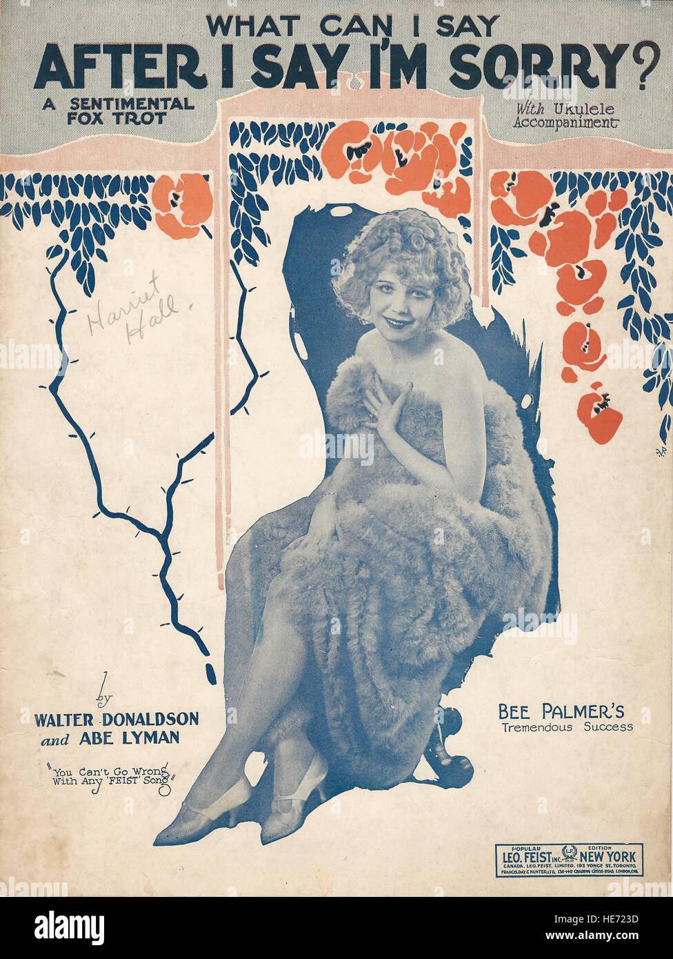 "Que puis-je dire après je dis que je suis désolé ?' sur les couvertures des musiques 1926 Banque D'Images